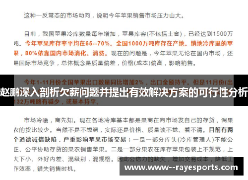 赵鹏深入剖析欠薪问题并提出有效解决方案的可行性分析