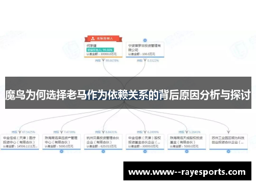 魔鸟为何选择老马作为依赖关系的背后原因分析与探讨